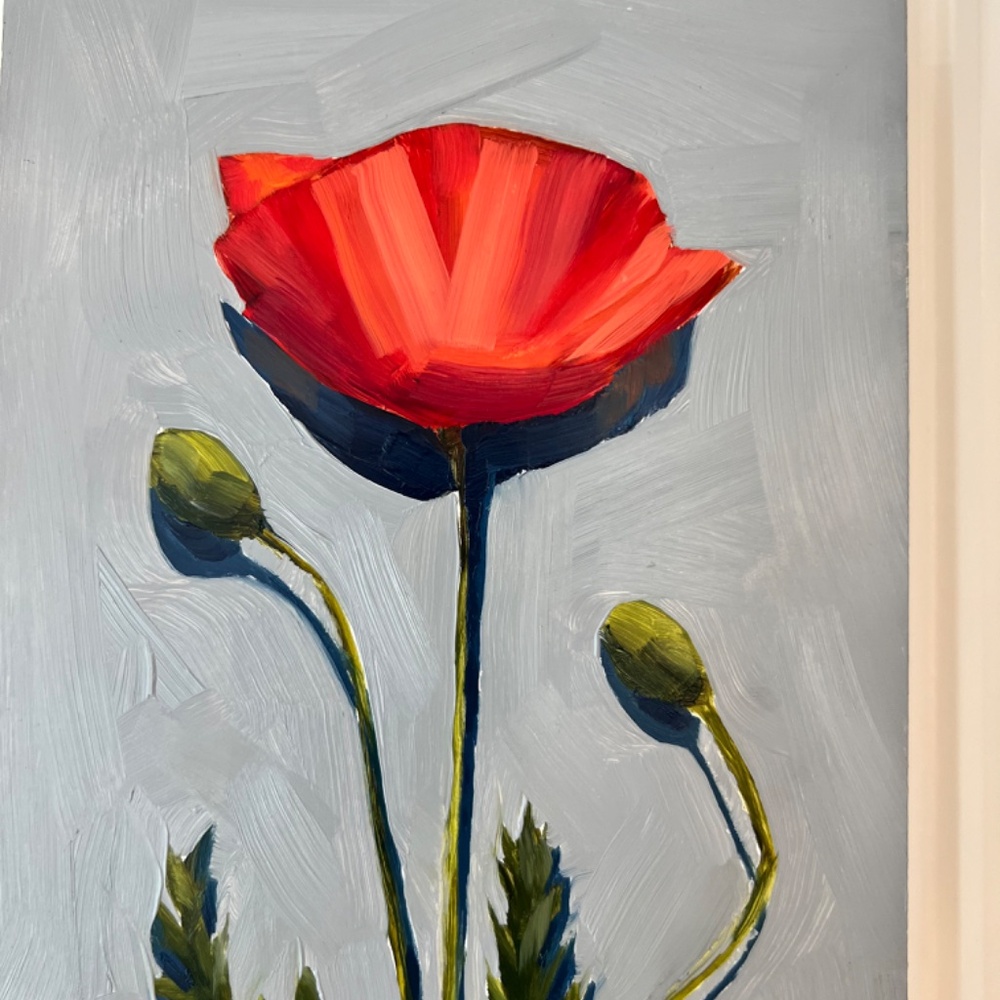 Red Poppy - Picture 2 of 6